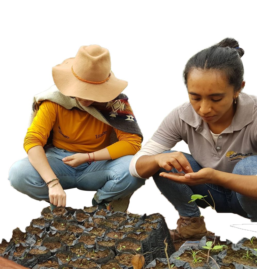 Reforestación comunitaria