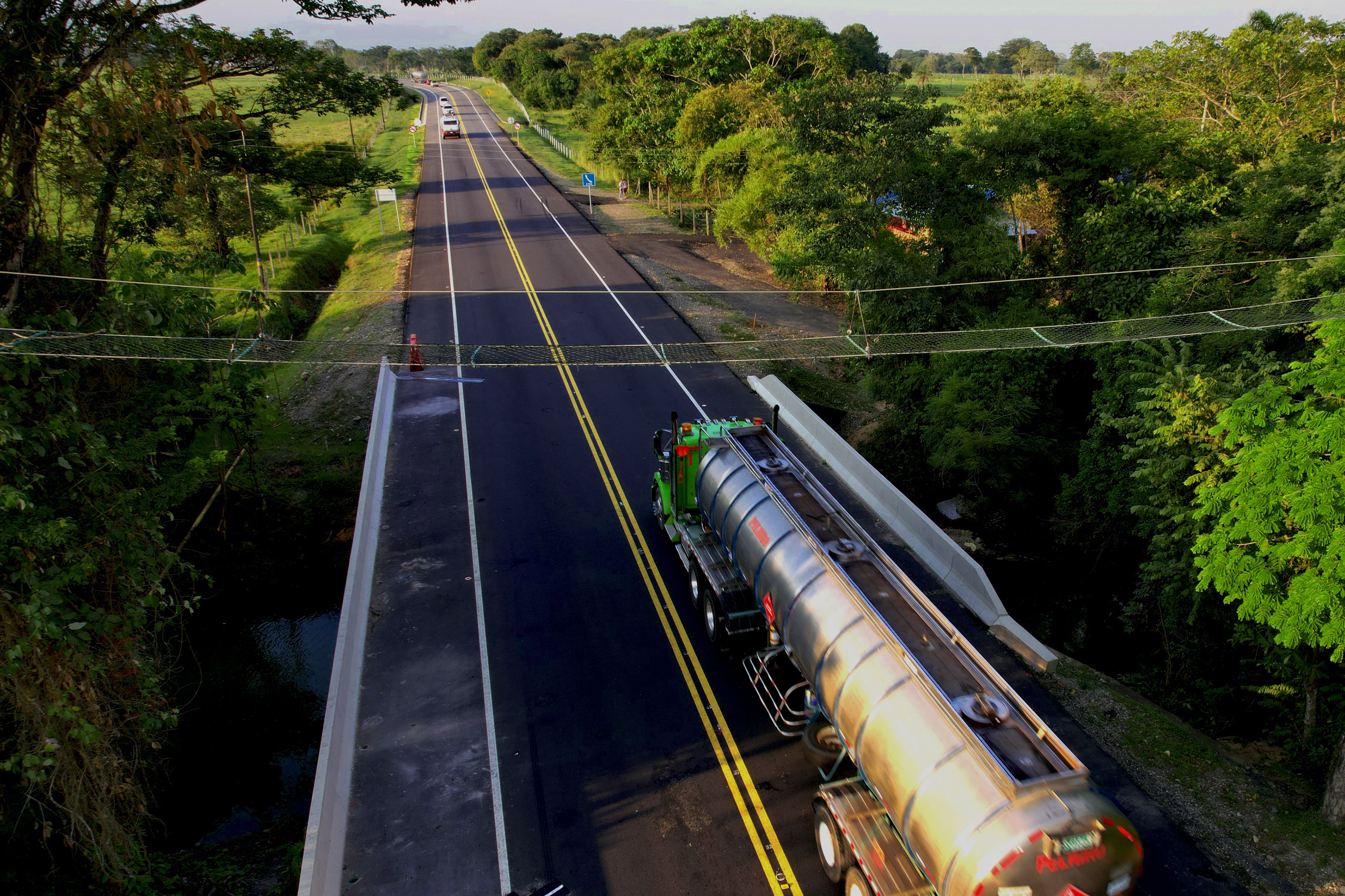 Paso de fauna silvestre